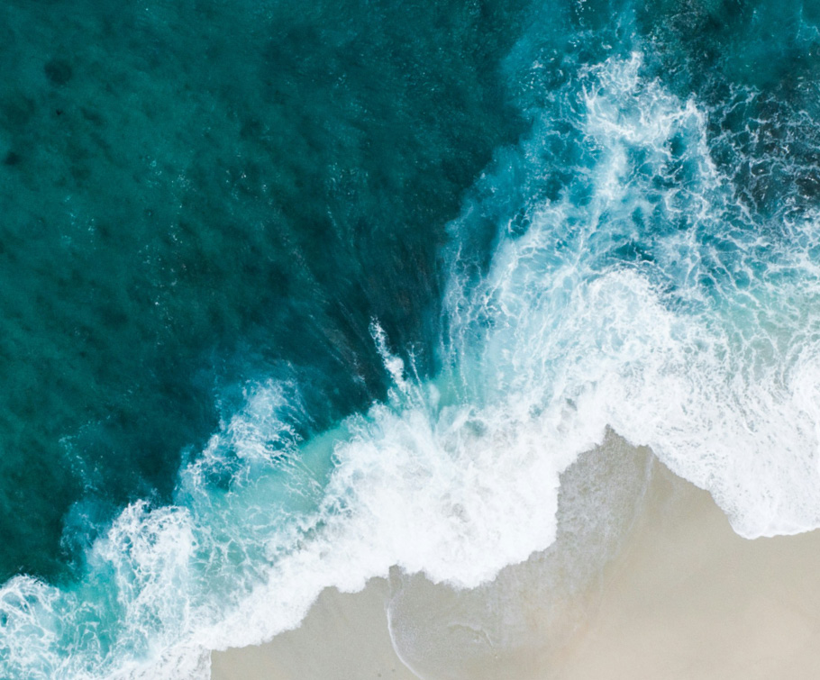 מנחי ומדריכי האירוע